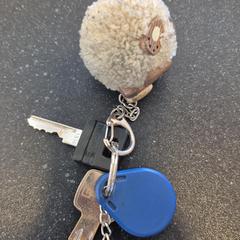 Schlüsselanhänger 2 sleutels, gemeldet von Arriva Infoshop Enschede über iLost