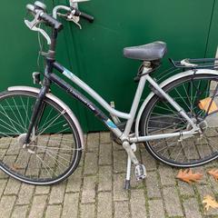 Fiets Locomotief Dames Grijs Ermelo 31-10-25, ha sido reportado a iLost