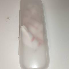 Betaurrekoen zorroa, gisa salatu by Regio Antwerpen - Brussel iLost erabiliz