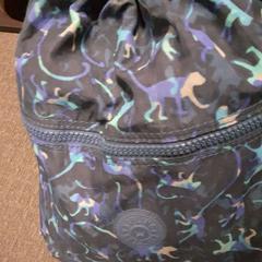 Bag, as reported by Regio Limburg - Leuven using iLost