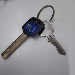 sleutelbosje met 2 sleutels (fietssleutel +) an iLost gemeldet