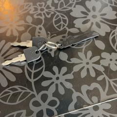 İLost kullanarak Blauwnet Zwolle tarafından bildirildiği gibi Bisiklet anahtarı