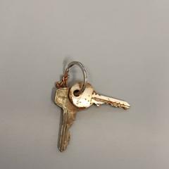 Claus sleutels, segons ha informat Vrije Universiteit Brussel (VUB) mitjançant iLost