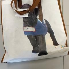 Väska - Draagtas, rapporterat av Centraal magazijn med iLost