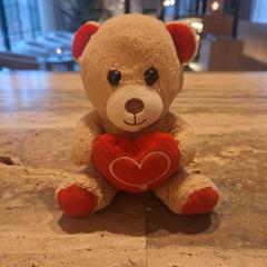 Knuffelbeertje がiLostで Van der Valk Spier-Dwingeloo によって報告されました