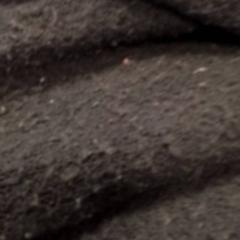 Xal Zwart, segons ha informat Qbuzz Fryslân mitjançant iLost