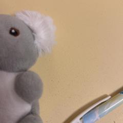 ドールズ がiLostで De Tovertuin によって報告されました