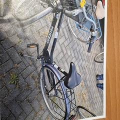 Női kerékpár, amint azt Gemeente Roermond az iLost segítségével jelentette.