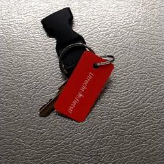 Sleutels, zoals gemeld door IKEA Utrecht met iLost