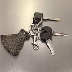 Gakoa, gisa salatu by Qbuzz GD Groningen HS iLost erabiliz