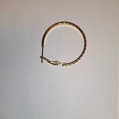 Örhänge, rapporterat av Van der Valk Hotel Tiel med iLost