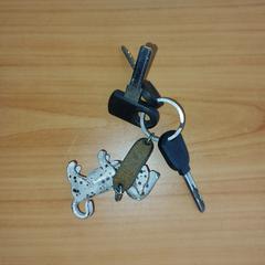 Sleutelhoes met sleutels met hondje als hanger، كما تم الإبلاغ عنه بواسطة RRReis Overijssel / Flevoland-IJsselmond عبر iLost
