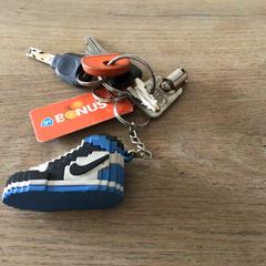 Sleutelbos, como reportado ao iLost