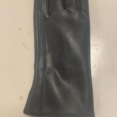 Rukavice, jak nahlášeno Koninklijk Theater Carré pomocí iLost