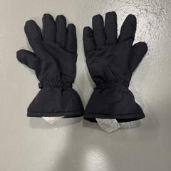 Rukavice Zwart, jak nahlášeno Fenix pomocí iLost