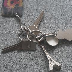 Sleutelbos, iLost-i jakinarazi zaion moduan