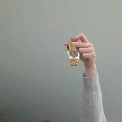 Watch goud, as reported by Regio Limburg - Leuven using iLost