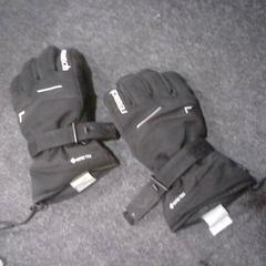 Gloves, as reported by SnowWorld Landgraaf using iLost