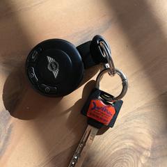 autosleutels Mini an iLost gemeldet