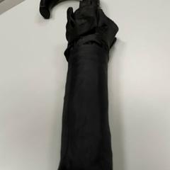 Parapluie, a été signalé par Regio West-Vlaanderen utilisant iLost