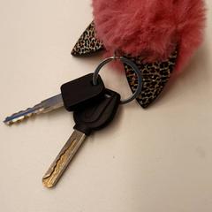 Chiave Zwart, come riportato da HvA Amstelcampus utilizzando iLost