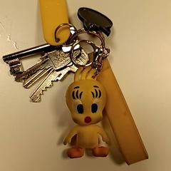 Klíče, jak nahlášeno Syntus Provincie Utrecht pomocí iLost