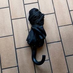 Paraplu Zwart, amint azt Regio Limburg - Leuven az iLost segítségével jelentette.