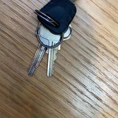 Nøkler, som rapportert av Rijksmuseum van Oudheden ved bruk av iLost