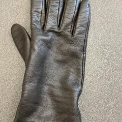 Gant Leder, a été signalé par Schönbrunn "Group Center" utilisant iLost