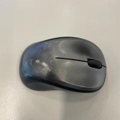 Souris, a été signalé par Heidelberglaan 15 utilisant iLost