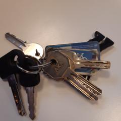 Sleutels, come riportato da Syntus Provincie Utrecht utilizzando iLost