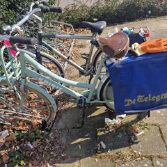 Kvinners sykkel, som rapportert av Gemeente Roermond ved bruk av iLost