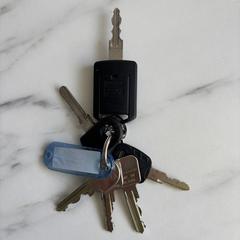 Sleutelbos, amint azt az iLostnak jelentették.