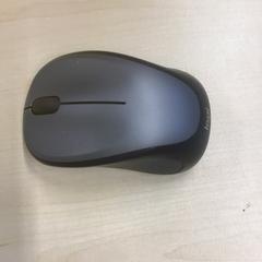 쥐, iLost를 사용하여 Gemeente Nijmegen에 보고됨