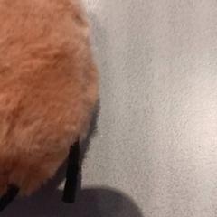 Peluche, come riportato da De Efteling utilizzando iLost