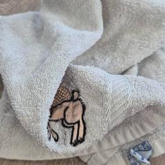 المسح، كما تم الإبلاغ عنه بواسطة EBS OV Poeldijk عبر iLost