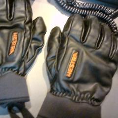 Hansker, som rapportert av SnowWorld Landgraaf ved bruk av iLost