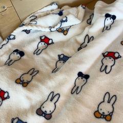 Manta Nijntje, segundo informou Familie Resort Molenwaard usando iLost