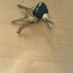 Klíč, jak nahlášeno Blauwnet Zwolle pomocí iLost