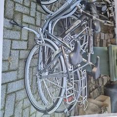 Women’s bike, as reported by Gemeente Roermond using iLost