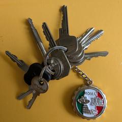 Sleutelbos, gerapporteerd met iLost