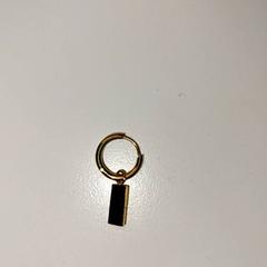 イヤリング がiLostで Ziekenhuis Oost-Limburg によって報告されました