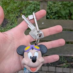 Keys with mini mouse a été signalé sur iLost