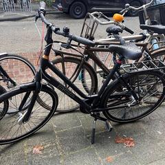 Fiets, ha sido reportado a iLost