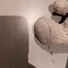 Peluche, come riportato da De Efteling utilizzando iLost