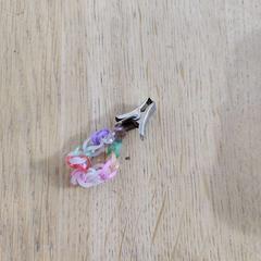 Elastiekbandje, segons ha informat Hortus mitjançant iLost