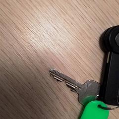 Chaves, segundo informou Qbuzz Fryslân usando iLost