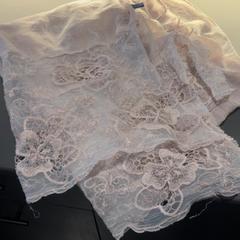 Sjal, rapporterat av Van der Valk Hotel Houten med iLost