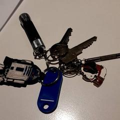 Portachiavi, come riportato da Campus Den Haag utilizzando iLost