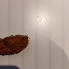 Knuffel, as reported by De Efteling using iLost